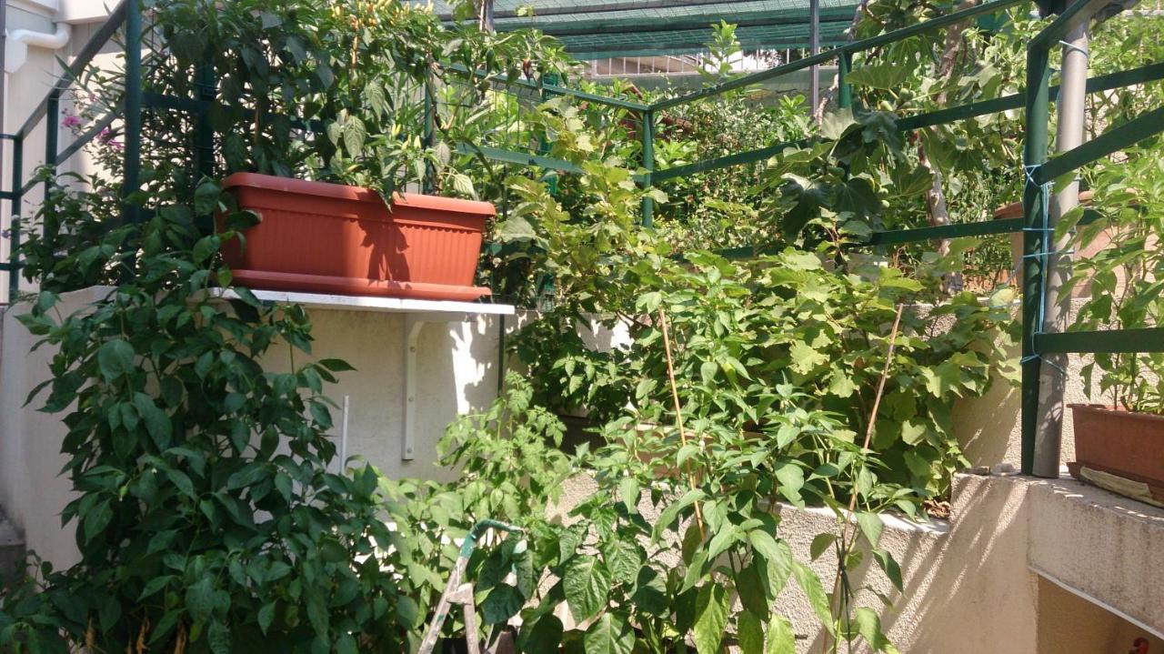Apartman Paro Σπλιτ Εξωτερικό φωτογραφία
